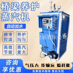 蒸汽发生器道路养护电加热发生器工业节能生物质燃油燃气锅炉