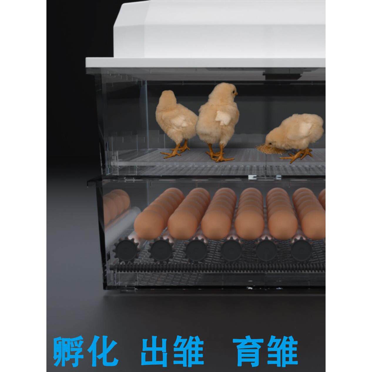 【厂家直销】全自动孵化机鸡鸭鹅鸽鸟孵化器家用小型孵化箱孵蛋器