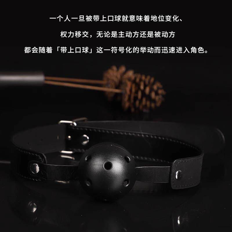 sm口球乳夹肛塞情趣套装夫妻共用调教羞耻床上激情调情助爱性工具