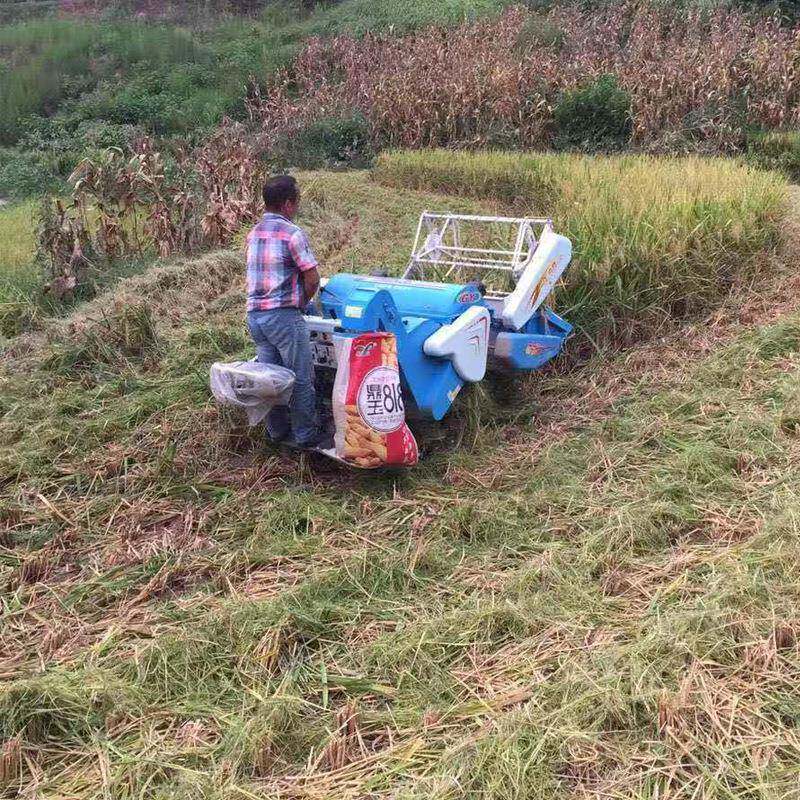 乘坐式小型水稻联合收割机15马力柴油动力收割机小型大豆收割机