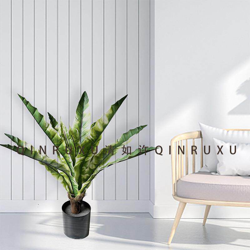 仿真蕨叶鸟巢蕨植物盆栽锯齿蕨绿植家居室外落地盆景装饰孔雀竹