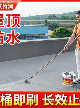防水涂料屋裂顶缝AWB渗水补漏材顶料房顶平房水楼漏防漏胶