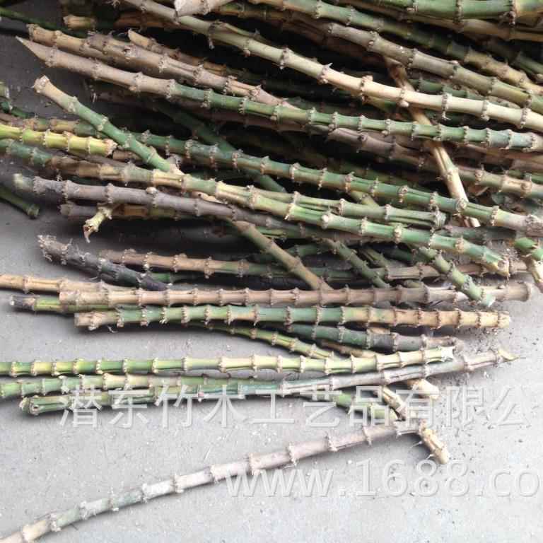 大量竹鞭竹根竹编 竹木原材料 竹木制品成品半成品供应图片