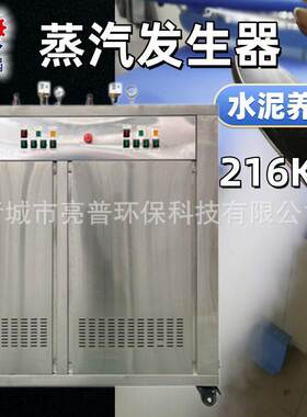216kw蒸汽发生器出汽快满足多种行业用汽需求服装熨水泥养护锅炉