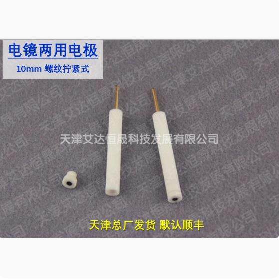 天津艾达恒晟 电镜两用电极 铂内芯 原厂直接发货