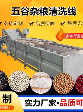 工厂用大米清洗机五谷杂粮清洗线粮食气泡清洗机大豆清洗机厂家