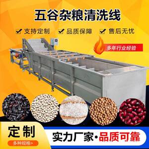 工厂用大米清洗机五谷杂粮清洗线粮食气泡清洗机大豆清洗机厂家