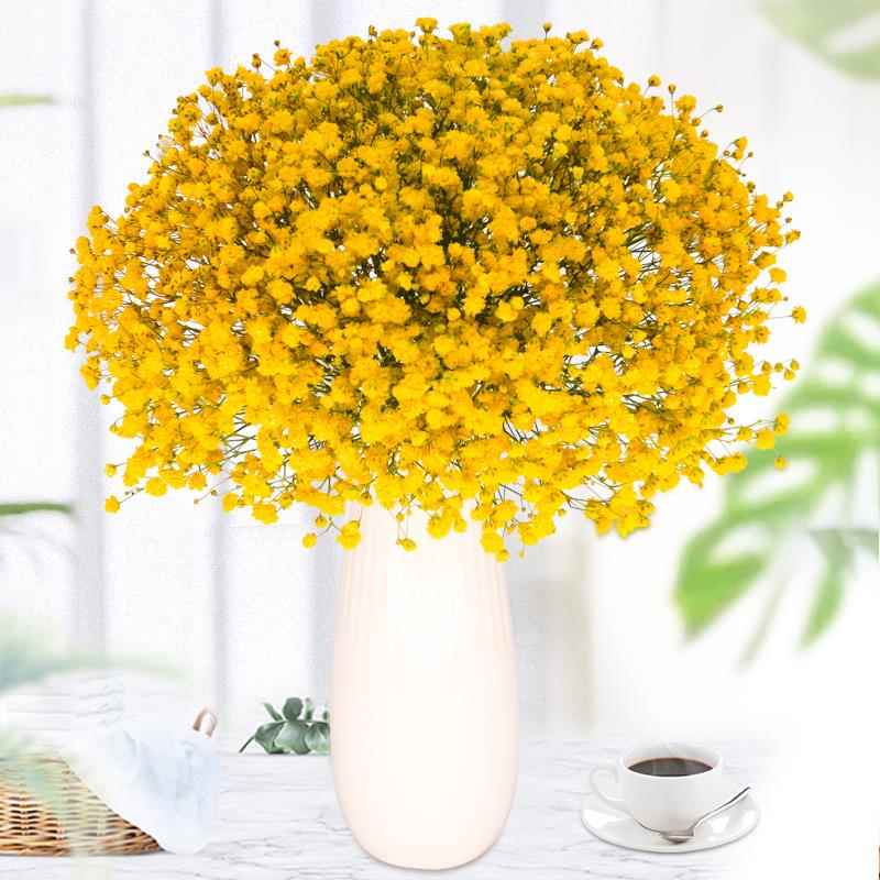 满天风半星花干花束真008花干客厅摆设天然新房装饰摆件插花染色