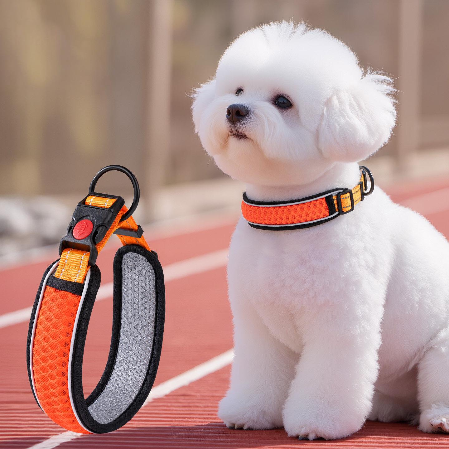 狗狗项圈狗链颈圈脖圈小中型犬脖套柴犬狗绳子大狗牵引绳宠物狗圈