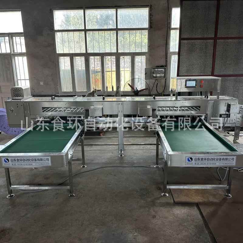 6排脏污蛋检测蛋裂纹蛋ai视觉检测产线鸡蛋鸭蛋电子重量分级