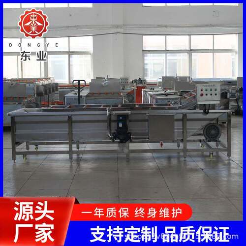 蔬菜去污去泥沙果蔬清洗机大型全自动鼓泡清洗设备高效多功能除菌