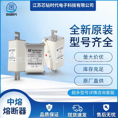 RS306-2-T2Z 690V 西安中熔熔断器 新能源汽车保险管
