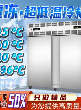 立式-45度速冻柜海鲜食品生鲜速冻机水果鲜肉速冻设备液氮速冻机