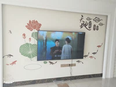 TCL65T6M和海信H65E3A电视哪个好，优缺点区别是？