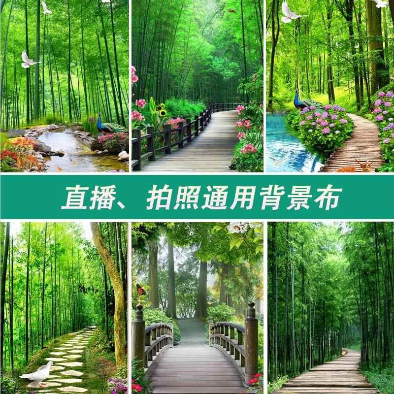 新直播背景布立体主播壁纸布3D山水大草原主竹林室外风景荷花中秋