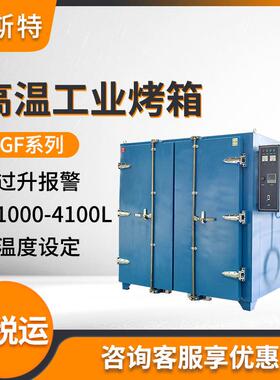 DGF系列工业烘箱高温工业烤箱大型烤箱