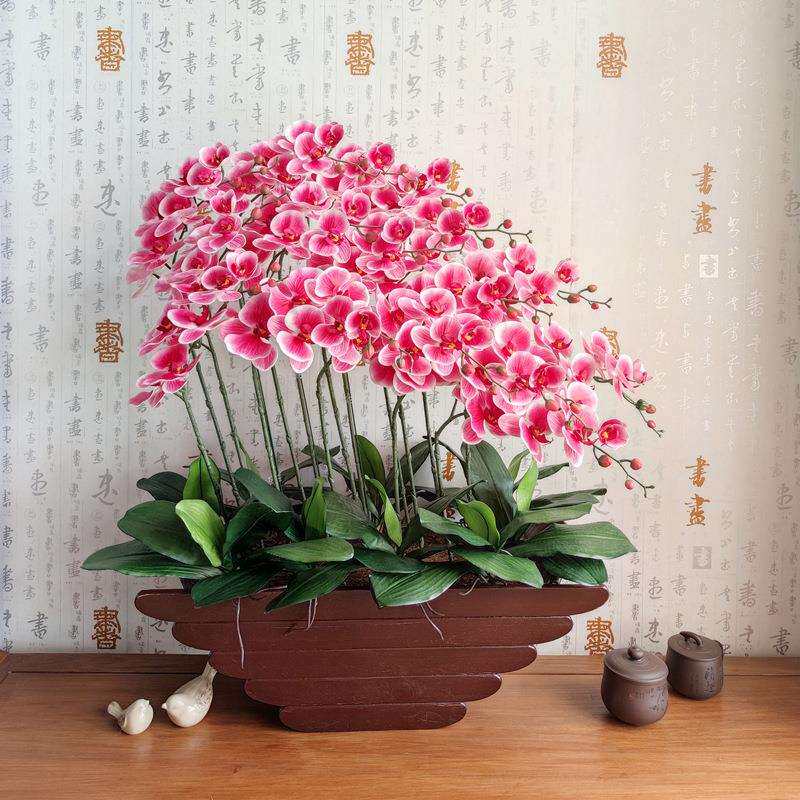 和家手感蝴蝶兰客厅玄关装饰花新家办公文化仿真植物仿真园艺