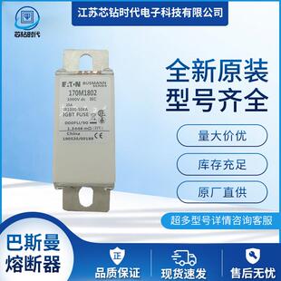170M1810 巴斯曼BUSSMANN熔断器保险丝 170M1809 170M1808