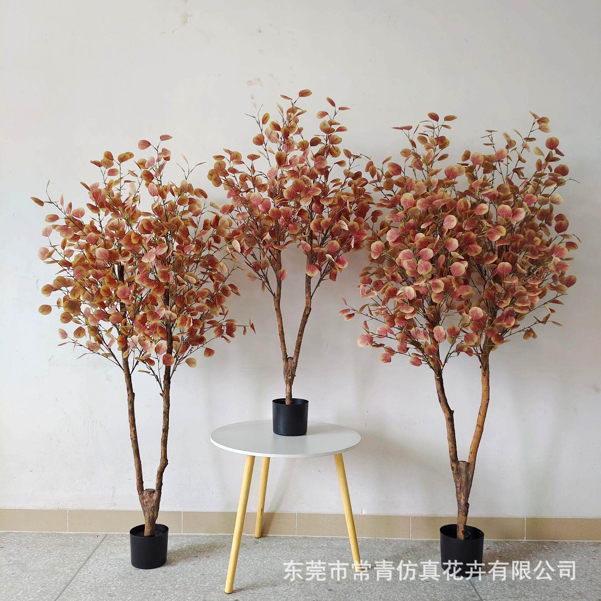 常青仿真植物装饰假绿植盆栽摆件仿真真木杆秋色金钱树尤加利现货