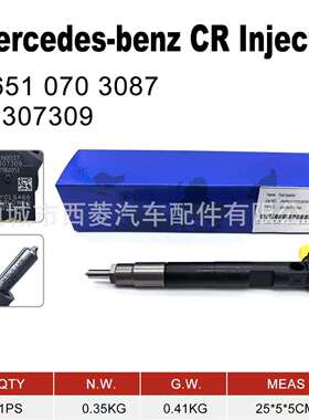 共轨喷油器 A6510703087 28307309 A6510702387 28272472