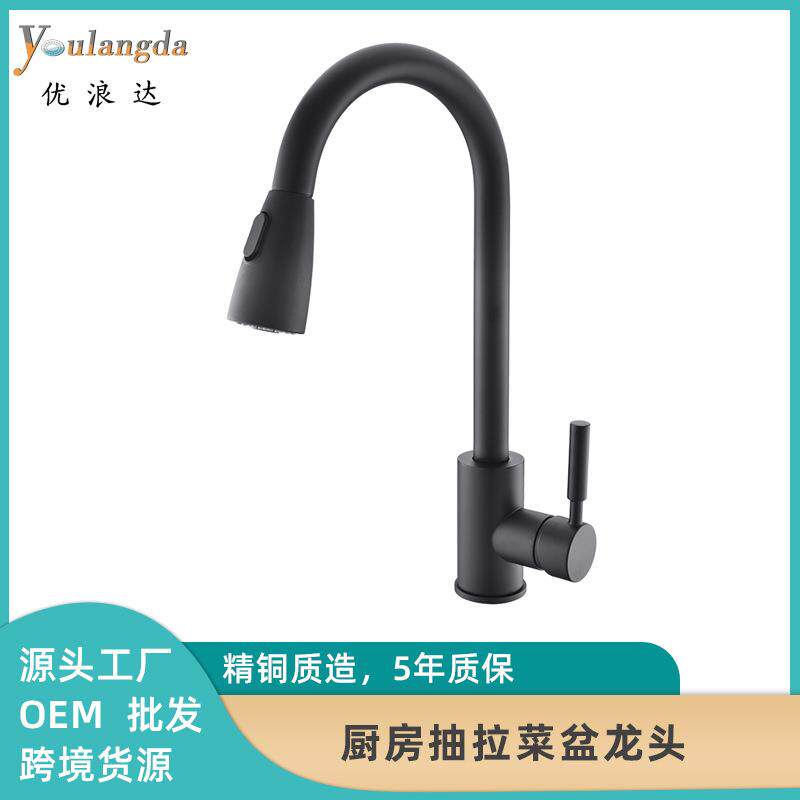 厂家批洗菜盆360度旋转水龙头家用延伸全铜抽拉式厨房水龙头花洒