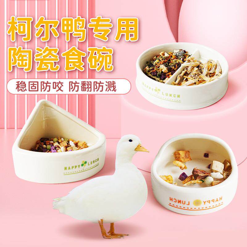 科尔鸭喂 食器陶瓷水壶专用饲料盒仓鼠兔子荷兰猪刺猬食盆食槽食