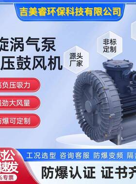 BT4气环式环形隔爆旋涡高压鼓风机FB-5气体粉尘防爆4kw增压送风机