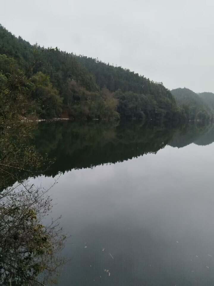 4月18日吉安某公司所有的某一、二级电站整体资产网络拍卖公告