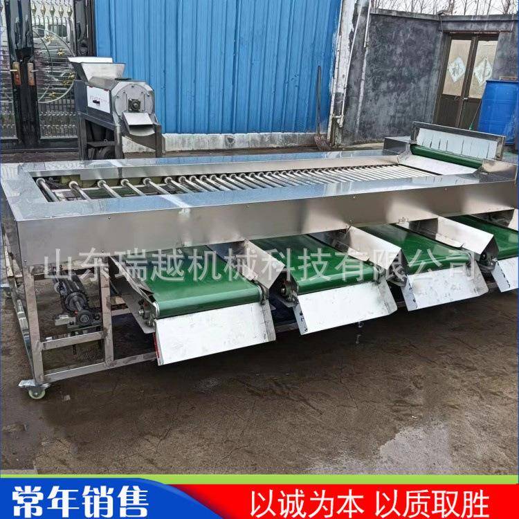 大型灰枣分级机商用滚杠式新疆大枣选枣机小型土豆大蒜分选机