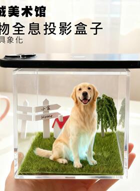 宠物全息数字屋纪念摆件投影动物透明猫狗影像互动盒子创意DIY