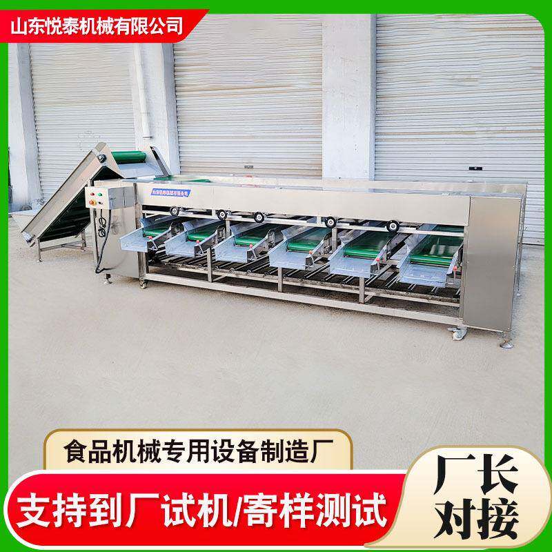 大型芒果柚子分选机工业马铃薯分级筛选机商用金桔滚杠式筛选机