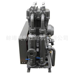 ZW1.2 1202208041无油 润滑塞式 氯化氢压缩活机