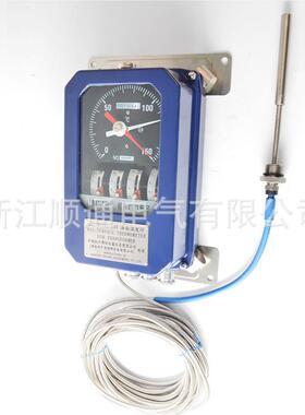 变压器温度控制器BWBWY(WTYKY-04 8028 83绕组温计BWR-度004温控