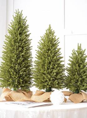 桌面韩式圣诞树摆件PE植绒圣诞树绿色圣诞树橱窗布置派对装饰道具