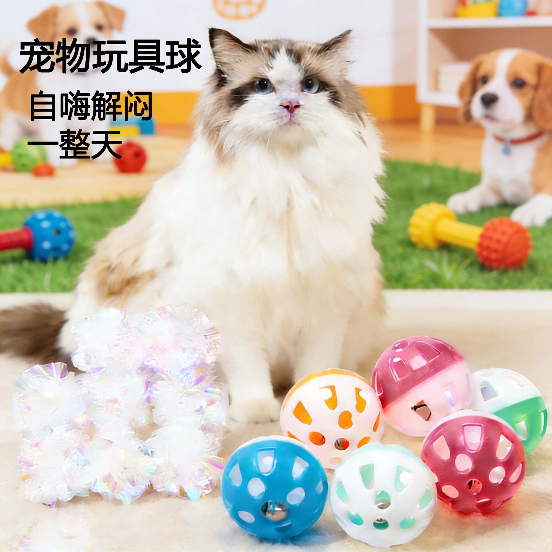 猫咪玩具塑料空心双色球发声铃铛球逗猫互动玩具自嗨解闷宠物用品