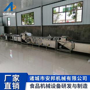 新式 杏鲍菇加工漂烫机全自动海鲜鲍鱼预煮机网带出料鱿鱼仔蒸煮