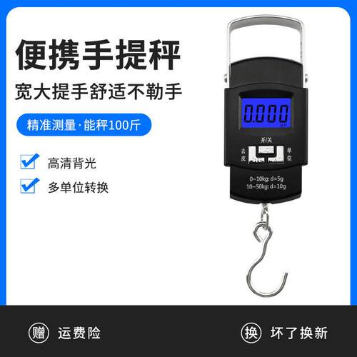 精度手提电子秤 钓鱼弹簧称精准家用小型克秤便携式拉力钩子称