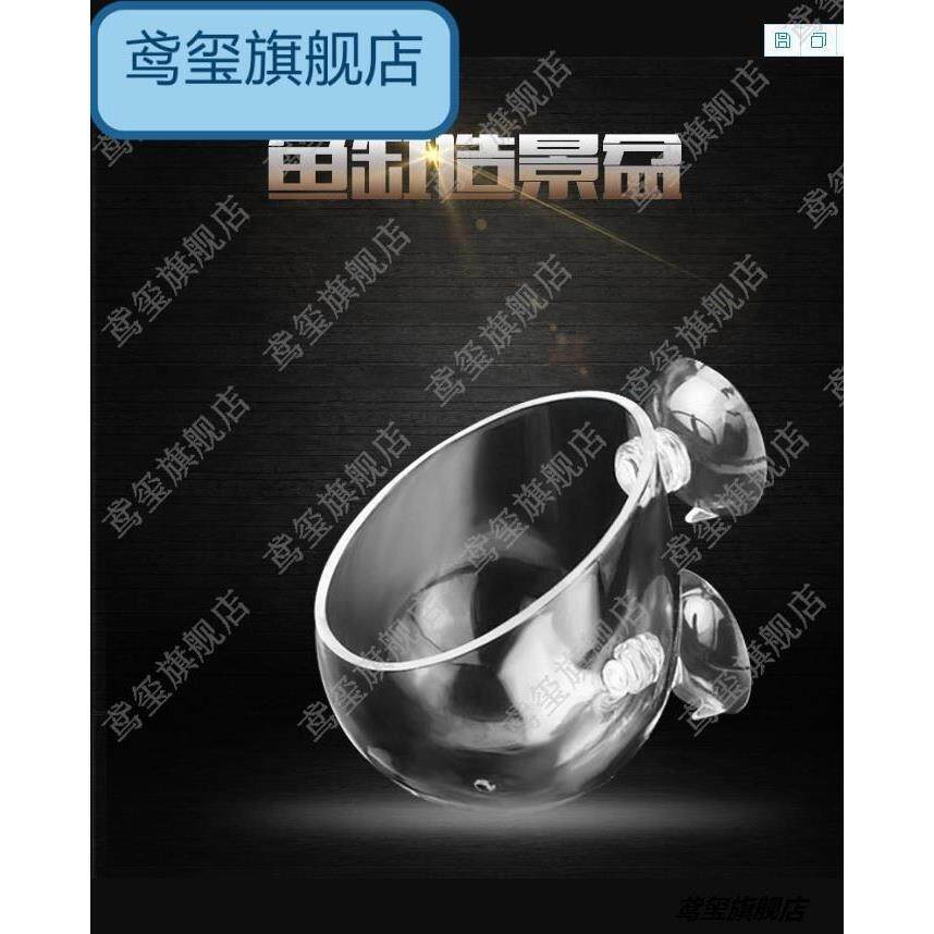 水草造景杯奶嘴海葵珊瑚海水高透杯玻璃海葵窝珊瑚造景水草种植杯