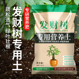 发财树营养土专用土盆栽花卉土壤透气家用植物种植土壤肥料营养土