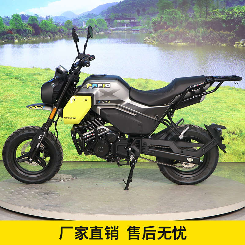 适用春风狒狒XO-2冒险家尾架后货架尾翼后扶手摩托车改装靠背配件