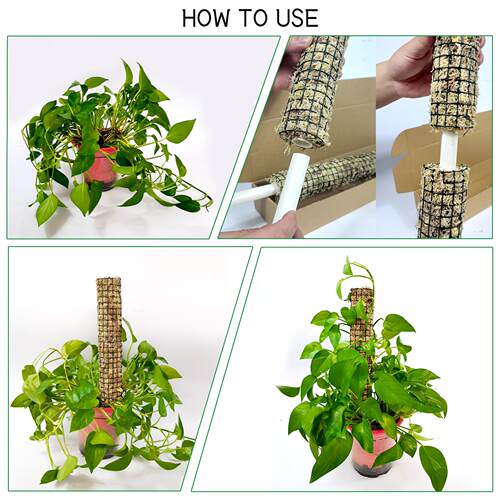 爬跨APK境热销高大热带物支苔撑架攀杆龟背竹白锦自由加高苔藓水