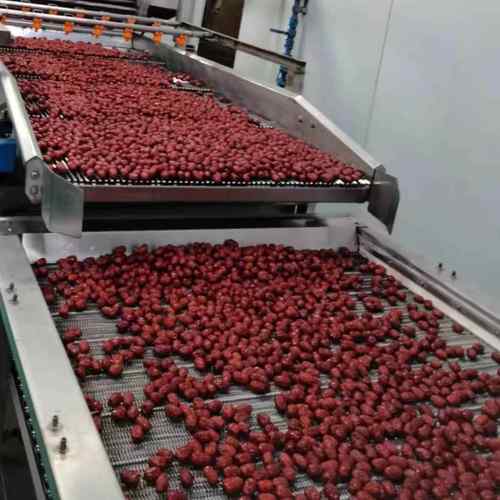 不锈钢食品海鲜烘干机咸鱼红枣中药材烘干箱枸杞桂圆瓜蒌干燥房