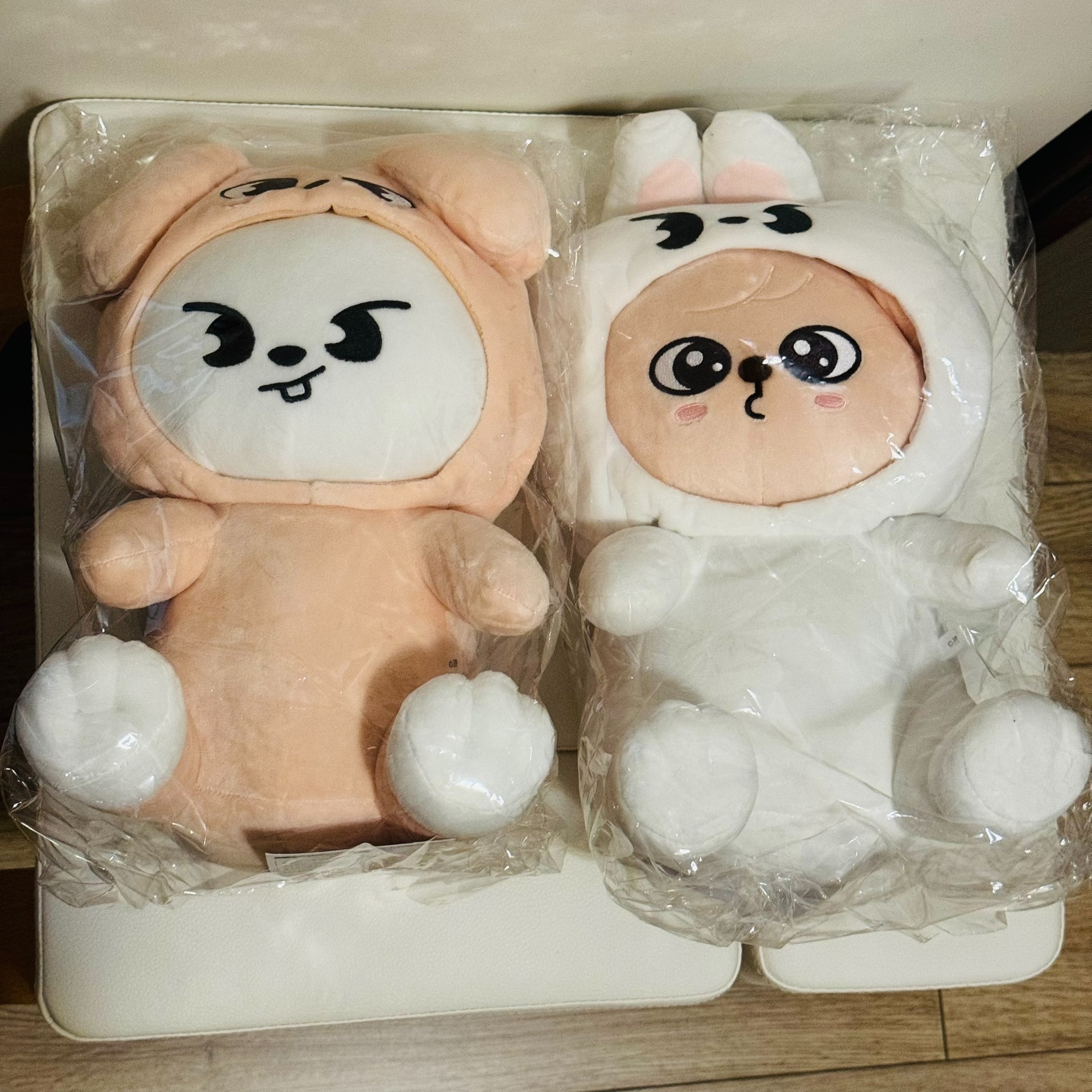 thumbnail for [Out] fans SKZ Day Week Toy World Japan FM periphery