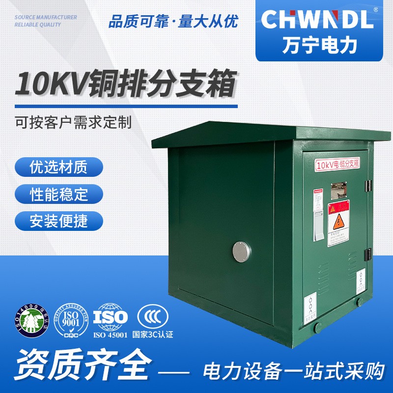 供应10KV铜排电缆分支箱带避雷器放电计数器户外高压电缆分接箱
