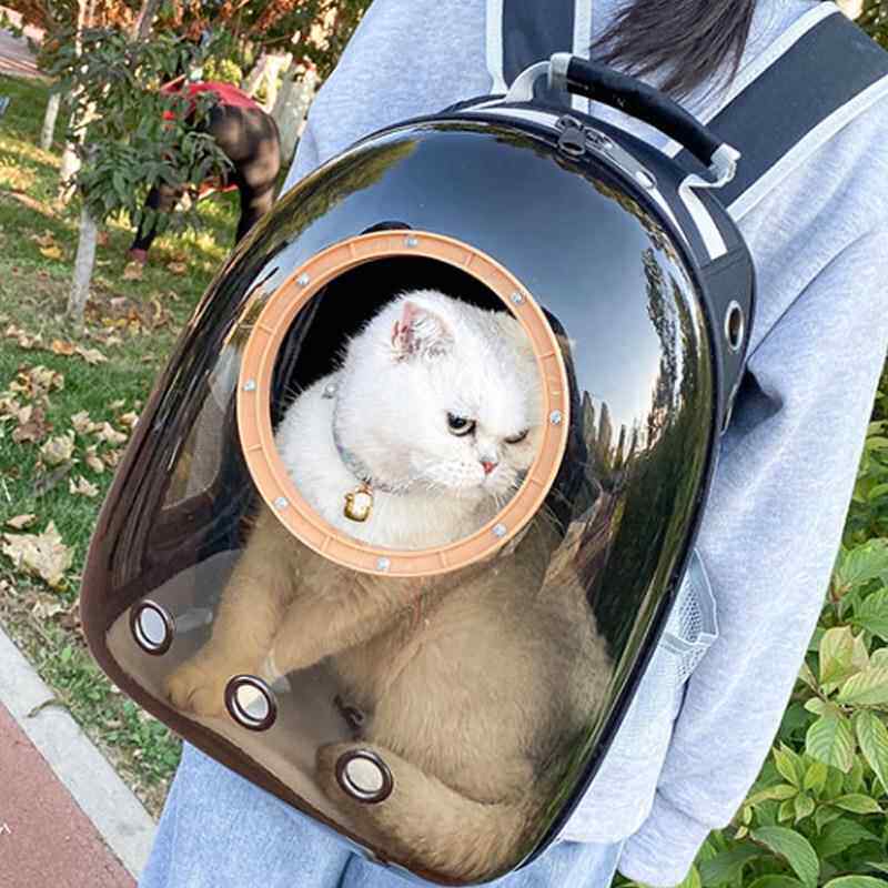 新款直销秋季新款外出宠物包全景透明太空舱猫包透气轻便简约纯色
