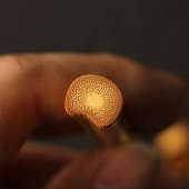 精品纯手工精磨天然异形实心竹枝手把件竹雕竹制把玩小件竹小手棍