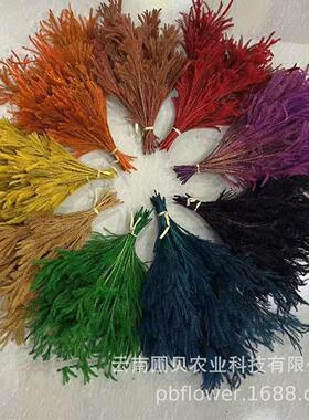 花者云南永生花礼盒辅材干花现货翠绿色石松松枝热销永生花