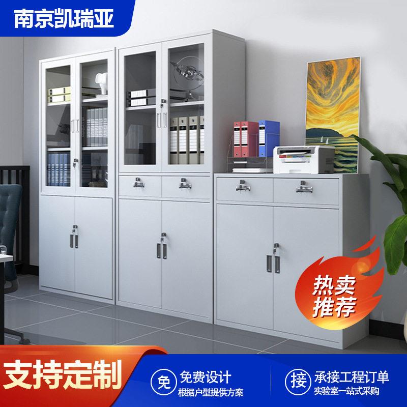 全钢制实验室器皿柜学校仪器样品存储柜加厚品柜pp酸柜文件柜