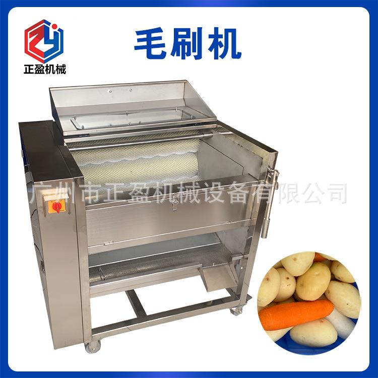 中小型土豆清洗机整机304不锈钢土豆去皮机红薯萝卜清洗去皮机