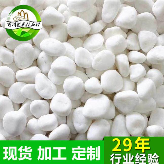 汉白玉鹅卵石白石子雪花白机磨石子白色雨花石米多肉石仔小白石米